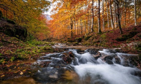 Tour delle Cascate - da Maggio ad Ottobre